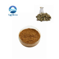 Dream Herb / Mexican CALEA / CALEA Zacatechichi Extrait Powder